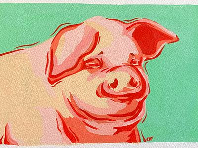 Coral Porcine color study editorial illustrator illustration illustrator pig pig art pig illustration porcine
