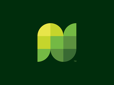Nuterra Icon gradient icon logo wordmark