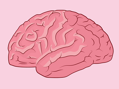 human brain illustration