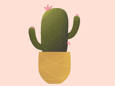cute cactus edited* cactus design vector