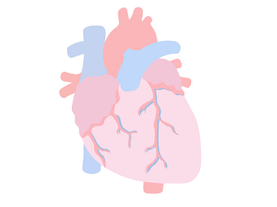 HEART flat design cardiology design doctor heart vector