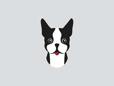 Boston Terrier boston terrier dog illustration