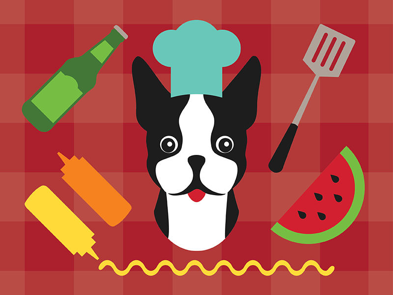 BBQ Terrier cute chef picnic beer watermelon bbq illustration dog boston terrier