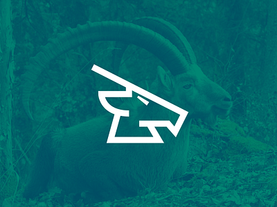Tais (Ibex) ibex icon logo