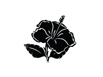 Black Hibiscus black flower hibiscus illustration plant white