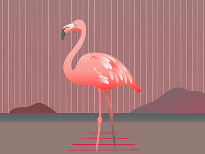 Sunset flamingo flamingo flat gradient design illustration nature pink primary colors sun sunset