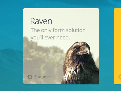 Raven promo marketplace statamic