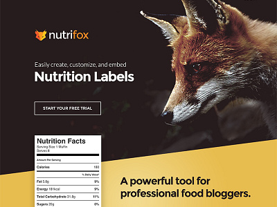 Unused Nutrifox Homepage Concept blog concept food homepage unused
