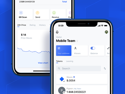 Waves Wallet 𐄂 Crypto App android app behance bitcoin blockchain crypto currency design finance interface ios sketch ui ux wallet