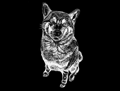 Dog digital art dog drawing illustration procreate