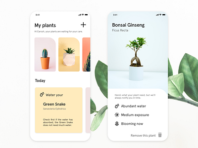 Plant Care App blooming briefbox care notification plant plant app plant care plants reminder tree water