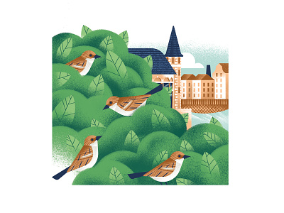 Ugenters Magazine - Appelbrugparkje birds bush daniele simonelli dsgn editorial illustration gent ghent illustration nature park sparrow texture vector