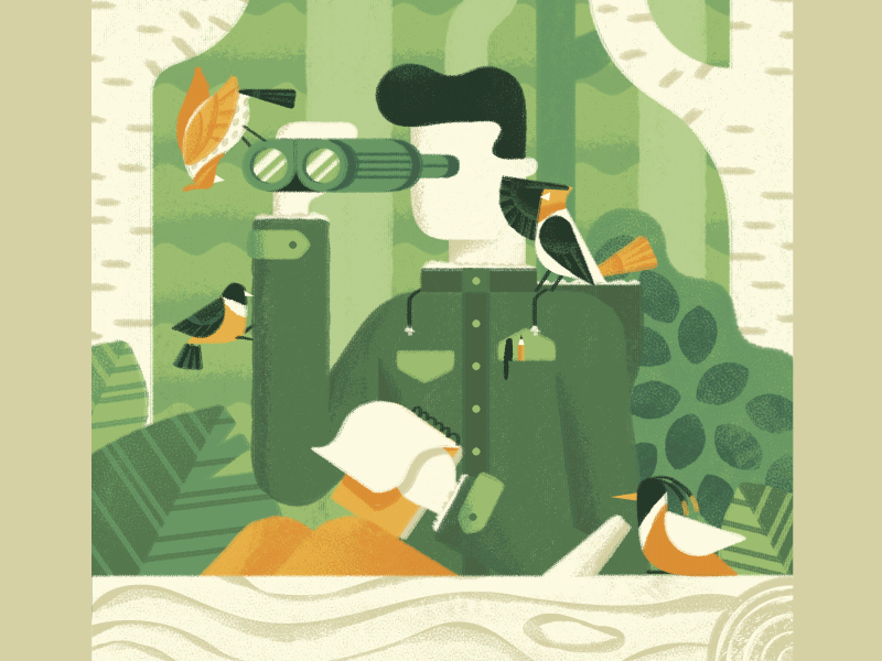 Birdwatching animation animation birdwatching dsgn illustration