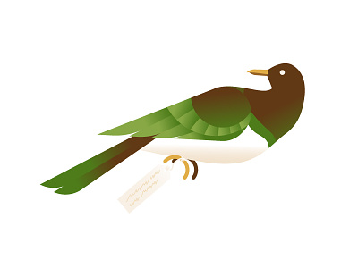 Kereru app app illustration bird daniele simonelli dsgn gradient illustration museum natural history pigeon specimen tag