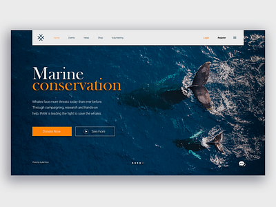 Marine conservation design landing page typography ui ux web