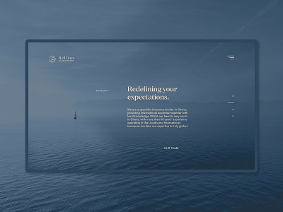 Rellius Group - Homepage/About Section adobe adobe illustrator branding design figma typography ui ui design webdesign website