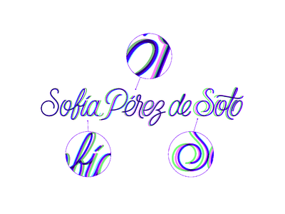 SPdS interpolations art direction branding calligraphy design graphic design lettering monoline noblanco palmer script type typography wordmark