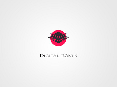 Digital Ronin brand brand identity design logo portfolio studio visual visual identity