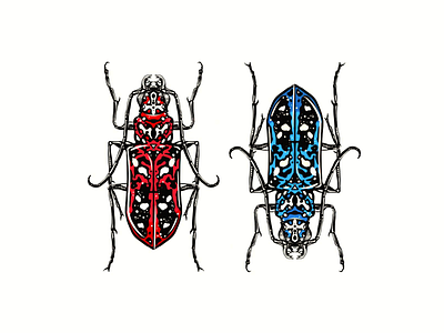 Bugs animals beetle bug graphical hand drawn illustration insect procreate