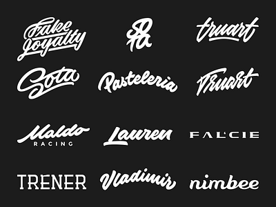 Logotypes&Lettering behance brushpen calligraphy collection hand lettering lettering logo logotype logotypes type typerface typography