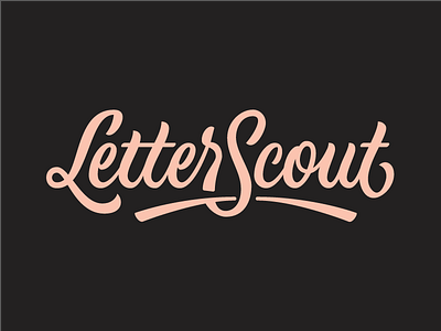 LetterScout calligraphy craft custom hand lettering inspiration lettering logo logotype typerface typography