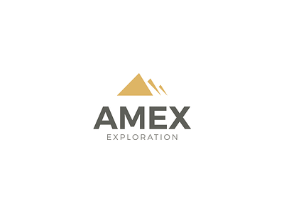 AMEX Exploration Logo branding clean design flat gold grey icon identity illustration lettering logo type typography ui ux vector web