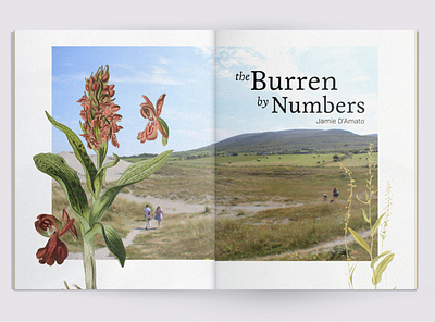 The Burren by Numbers book cover book design branding design