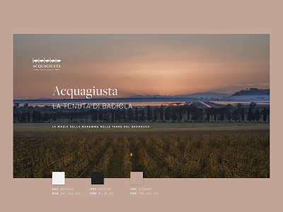 Acquagiusta website adobe xd graphic design ui ux web design