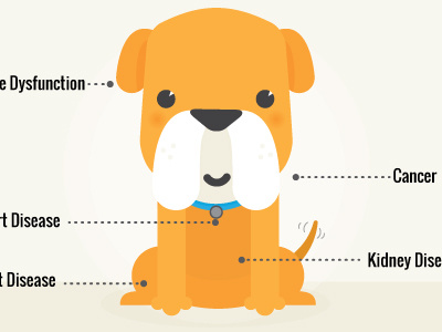 Puppay! dog healthy illustration infographic old puppy