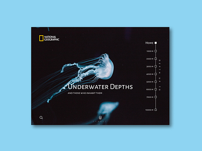 Concept of National Geographic website behance behansereviews clear design design designer dribble figma figmadesign html html css illustration inspirationsweb ocean ui underwater underwaterphotography ux web webdesign webdesigner