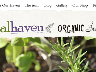 Haven - branding and nav hand drawn paper serif texture torn