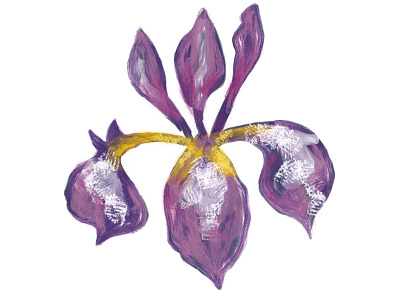 Iris Flower botanical floral flower painting