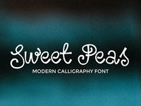 Sweet Peas Modern Calligraphy Font