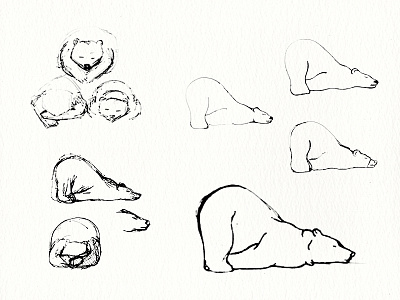 Hibernating Bear Sketches animal bear hibernate illustration