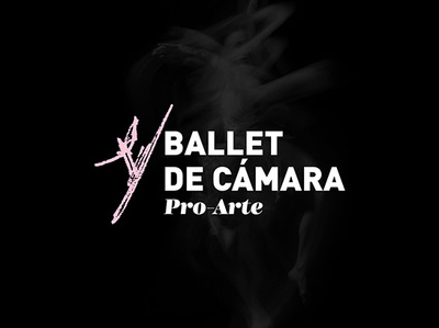 Ballet de Cámara Pro-Arte Logo art ballet black brand branding dynamic elegant handwritten handwritten logo logo logomark logotype mexico script
