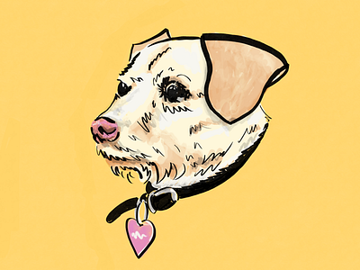 Dog study #3 dog doodle illustration pets portrait procreate sketch