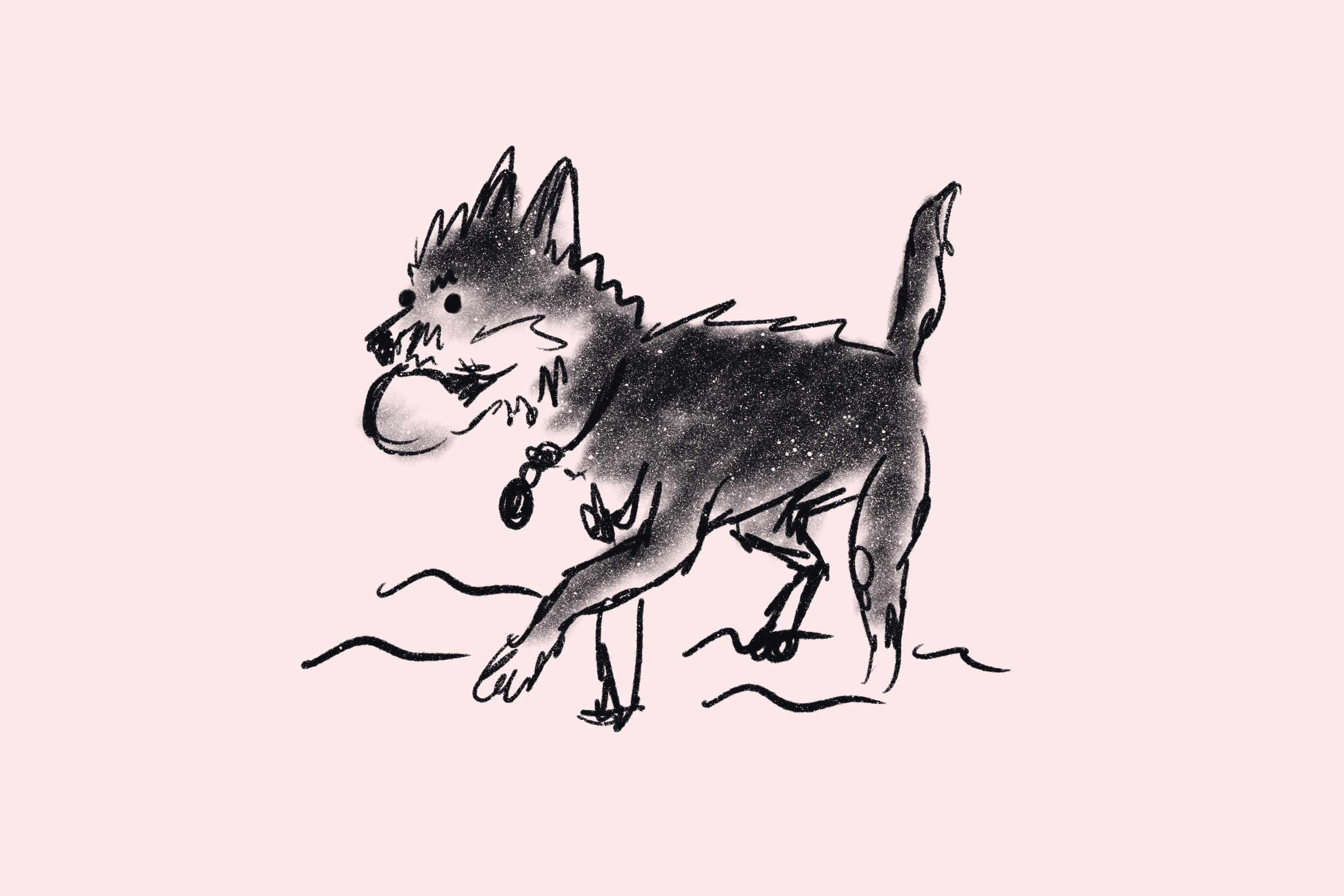 Fetch On The Beach Doodle By Steven Lewis On Dribbble