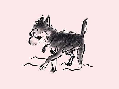 fetch on the beach doodle by Steven Lewis on Dribbble