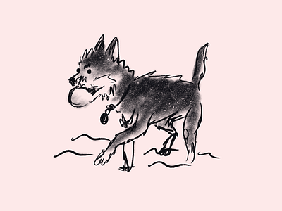 fetch on the beach doodle dogs doodle illustration ink procreate pup sketch