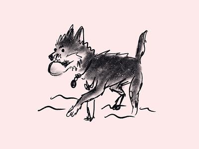 fetch on the beach doodle