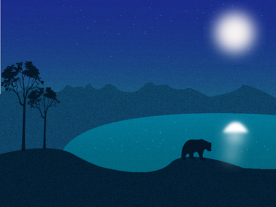 Moonshine lake night animation clean design flat illustration illustrator ux vector web