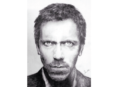 Hugh Laurie fine arts handsketched house hugh laurie pencil art portrait art realism sketch sketching
