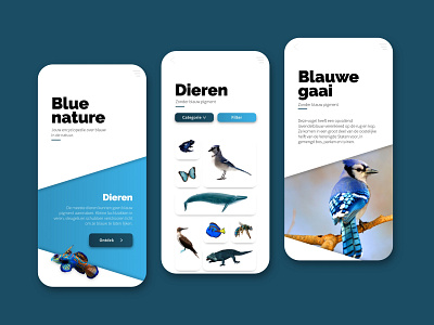 Blue Nature animal app application blue branding design digital mobile nature ui ux web