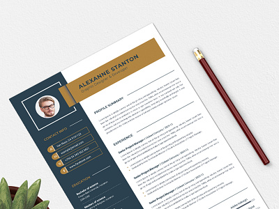 Resume a4 clean clean resume creative cv cv clean cv template design elegant elegant resume indesign infographic letter minimalist modern modern resume portfolio professional professional resume resume