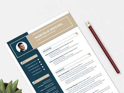 Resume a4 clean clean resume creative cv cv clean cv template design elegant elegant resume indesign infographic letter minimalist modern modern resume portfolio professional professional resume resume