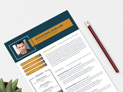 Resume 2pages resume a4 a4 letter clean clean resume creative cv cv clean cv template elegant resume minimalist modern modern resume portfolio professional professional resume resume resume clean resume creative resume cv