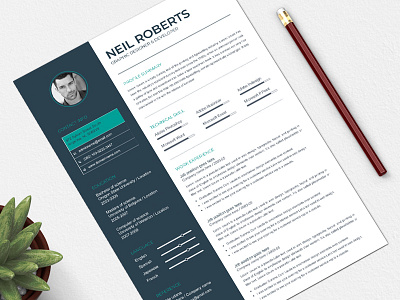 01 Resume a4 clean clean resume creative cv cv clean elegant resume modern resume professional professional resume resume