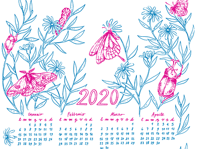 2020 Calendar 2020 beetle butterfly calendar calendar design caterpillar childrens illustration design drawing flowers gicleeprint illustration insects leaves line manisinistre moth nature poster print