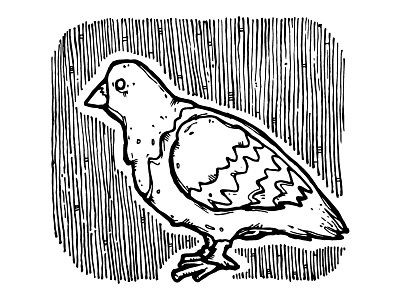 Pigeon Nation 2. / vectors black fun illustration pigeon