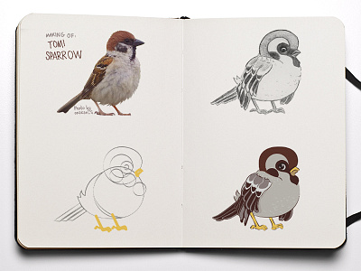 Sparrow Tomi luckyland sparrow vector